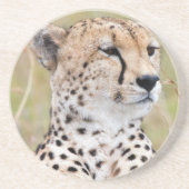 Cheetah Getränkeuntersetzer (Vorne)