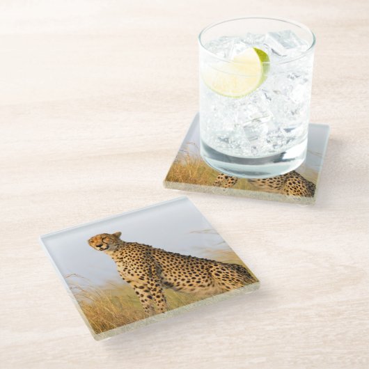 Cheetah Glasuntersetzer (Schrägansicht)