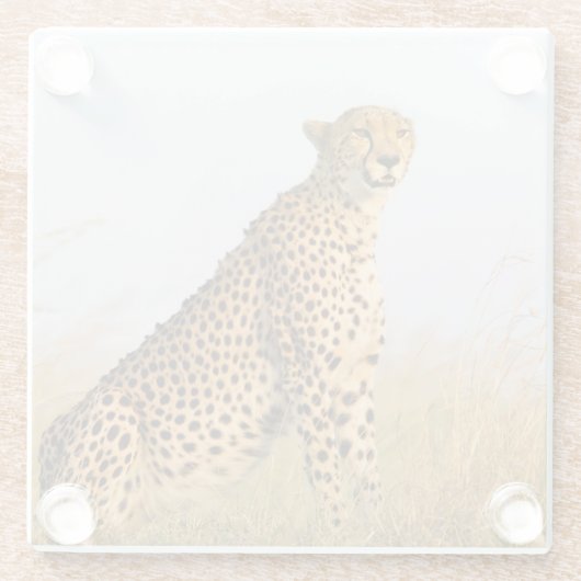 Cheetah Glasuntersetzer (Rückseite)