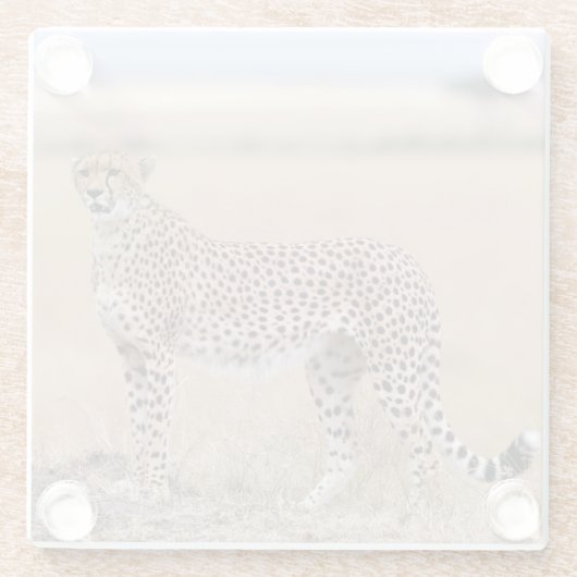 Cheetah Glasuntersetzer (Rückseite)