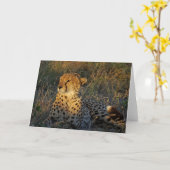 CHEETAH GREETING KARTE (Gelbe Blume)