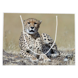 Cheetah Große Geschenktüte