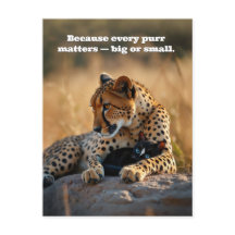 Cheetah Guardian, Kätzchen Herz