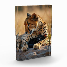 Cheetah Guardian, Kätzchen Herz Fotoblock