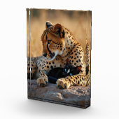 Cheetah Guardian, Kätzchen Herz Fotoblock (Rechts)