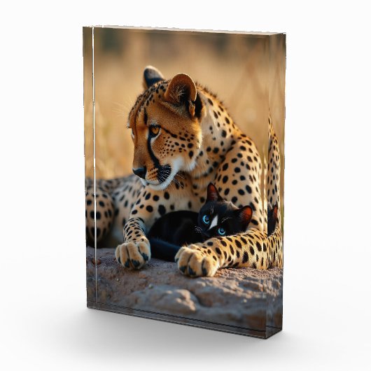 Cheetah Guardian, Kätzchen Herz Fotoblock (Rechts)