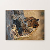Cheetah Guardian, Kätzchen Herz Puzzle (Horizontal)