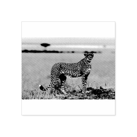 Cheetah Gummistempel (Prägung)