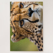 Cheetah Headshot Puzzle (Vertikal)