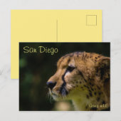 Cheetah Heart you! Postkarte (Vorne/Hinten)