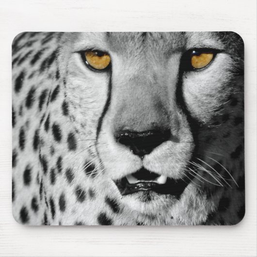 Cheetah in black and white mousepad (Vorne)