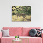 Cheetah in Samburu Leinwanddruck (Insitu (Wohnzimmer))