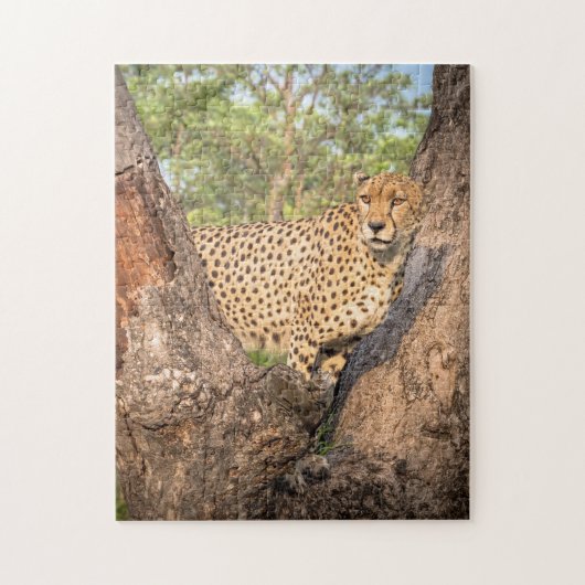 Cheetah in Tree Puzzle (Vertikal)