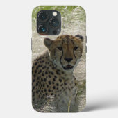 Cheetah iPhone / iPad Gehäuse Case-Mate iPhone Hülle (Rückseite)