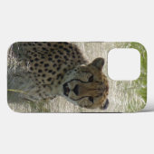 Cheetah iPhone / iPad Gehäuse Case-Mate iPhone Hülle (Rückseite (Horizontal))