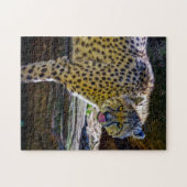 Cheetah Jigsaw Puzzle (Horizontal)