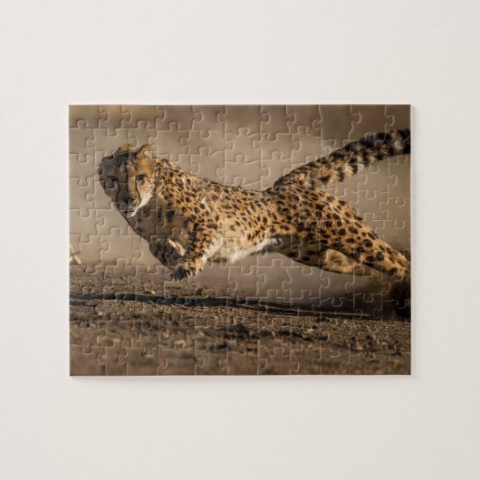 Cheetah Jigsaw Puzzle (Horizontal)