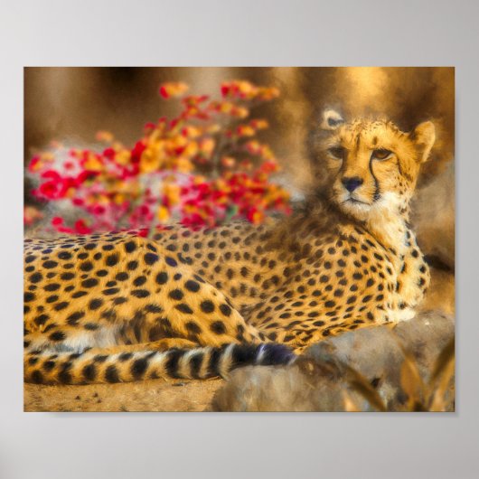 CHEETAH JUST CHILLIN POSTER (Vorne)