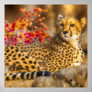 CHEETAH JUST CHILLIN POSTER