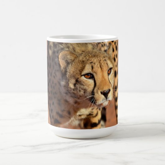 Cheetah Kaffeetasse (Mittel)