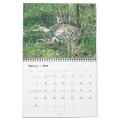 Cheetah-Kalender 2014 Kalender (Feb 2027)