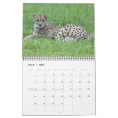 Cheetah-Kalender 2014 Kalender (Mär 2027)