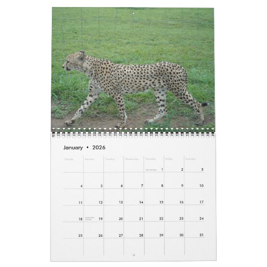 Cheetah-Kalender 2014 Kalender (Jan 2026)