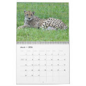 Cheetah-Kalender 2014 Kalender (Mär 2026)