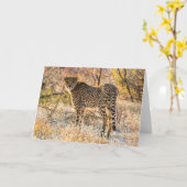 Cheetah Karte (Gelbe Blume)