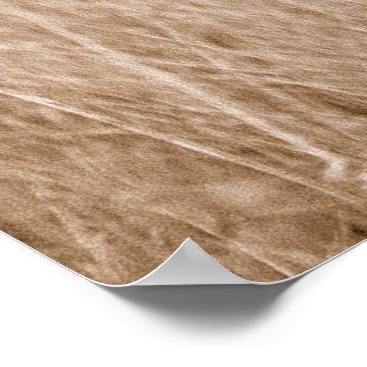 Cheetah Kenia Afrika Poster (Ecke)