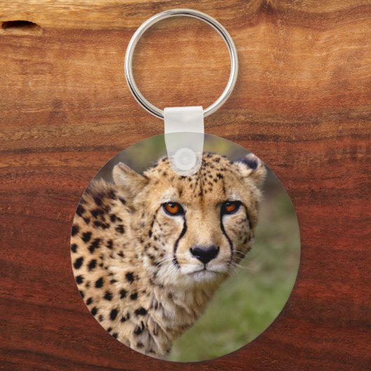 Cheetah Keyring Schlüsselanhänger (Vorderseite)