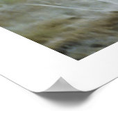 Cheetah Kisses Wildlife Poster (Ecke)