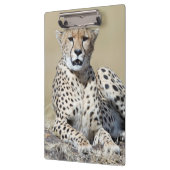 Cheetah Klemmbrett (Links)