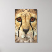 Cheetah Leinwanddruck (Vorderseite)