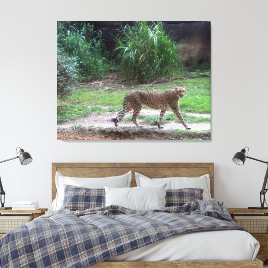 Cheetah Leinwanddruck (Insitu (Schlafzimmer))