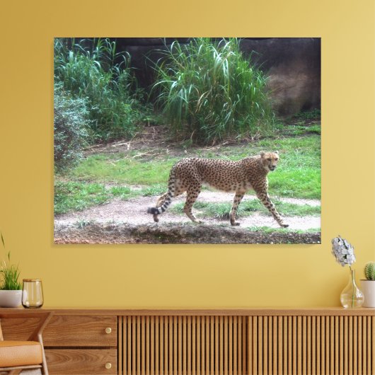 Cheetah Leinwanddruck (Insitu (Wohnzimmer))