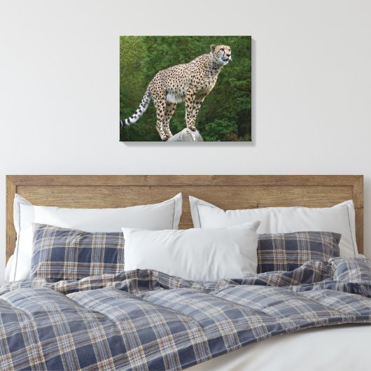 Cheetah Leinwanddruck (Insitu (Schlafzimmer))