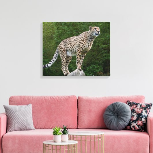 Cheetah Leinwanddruck (Insitu (Wohnzimmer))