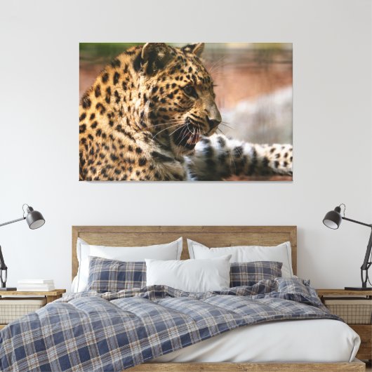 Cheetah Leinwanddruck (Insitu (Schlafzimmer))