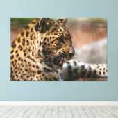 Cheetah Leinwanddruck (Insitu (Holzboden))