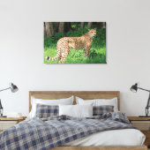 Cheetah Leinwanddruck (Insitu (Schlafzimmer))