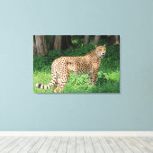 Cheetah Leinwanddruck (Insitu (Holzboden))