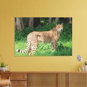 Cheetah Leinwanddruck (Insitu (Wohnzimmer))
