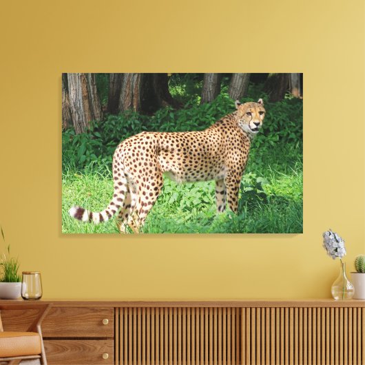 Cheetah Leinwanddruck (Insitu (Wohnzimmer))