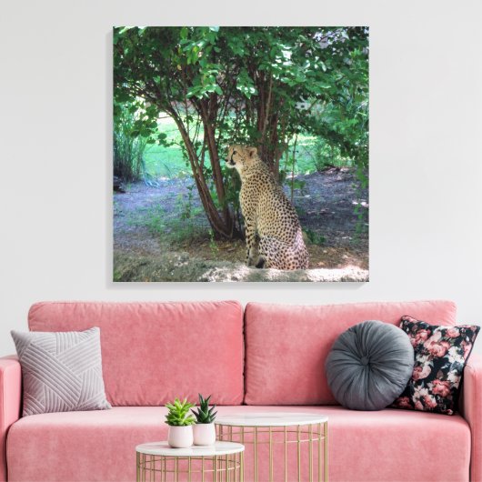 Cheetah Leinwanddruck (Insitu (Wohnzimmer))