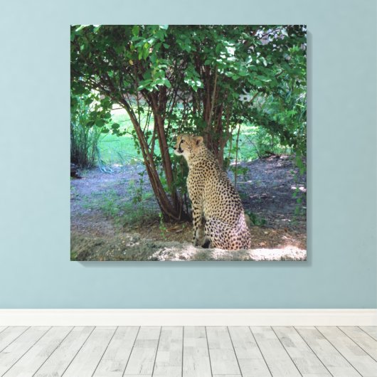 Cheetah Leinwanddruck (Insitu (Holzboden))