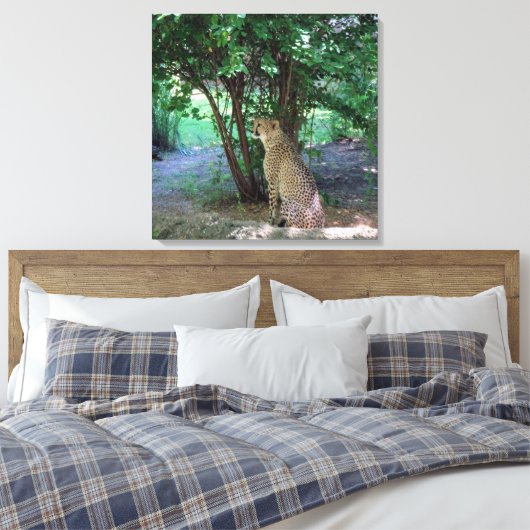 Cheetah Leinwanddruck (Insitu (Schlafzimmer))