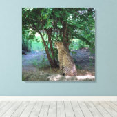 Cheetah Leinwanddruck (Insitu (Holzboden))