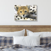 Cheetah Leinwanddruck (Insitu (Schlafzimmer))