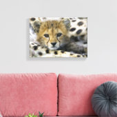 Cheetah Leinwanddruck (Insitu (Wohnzimmer))
